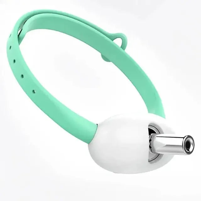 ActivePaws - Katzenhalsband mit integriertem Laserpointer