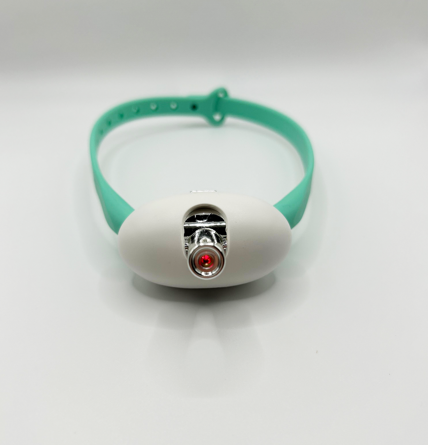 ActivePaws - Katzenhalsband mit integriertem Laserpointer