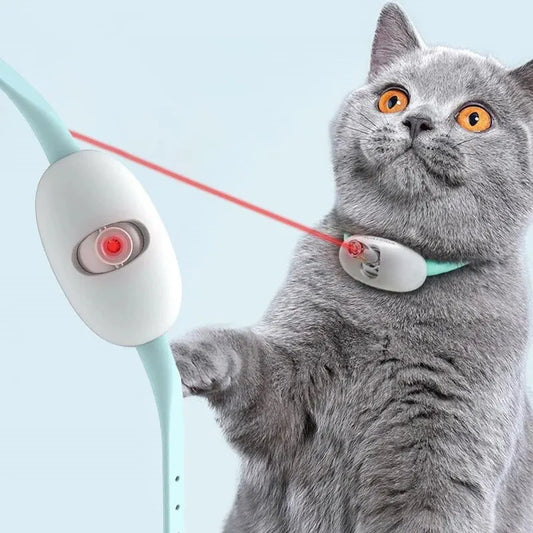 ActivePaws - Katzenhalsband mit integriertem Laserpointer